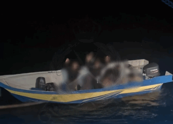 ضبط 12 متسللًا حاولوا دخول البلاد بطريقة غير مشروعة بشمال الباطنة