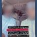 إيقاف 3 مواطنين في صور لنشرهم مقاطع مثيرة للذعر عبر مواقع التواصل الاجتماعي 8 إيقاف 3 مواطنين في صور لنشرهم مقاطع مثيرة للذعر عبر مواقع التواصل الاجتماعي