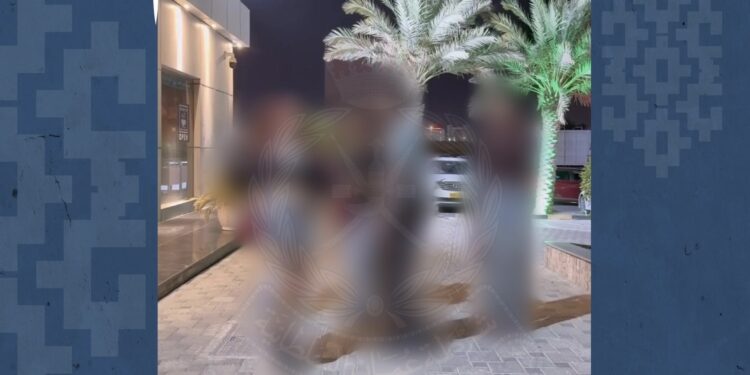 القبض على 4 أشخاص لإخلالهم بالآداب العامة بعد تداول مقطع مرئي