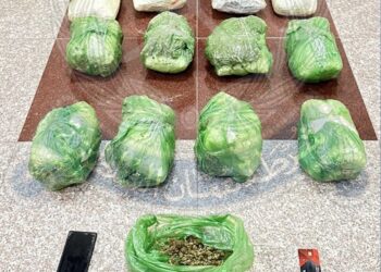 القبض على وافد بحوزته كمية من الماريجوانا بولاية بركاء