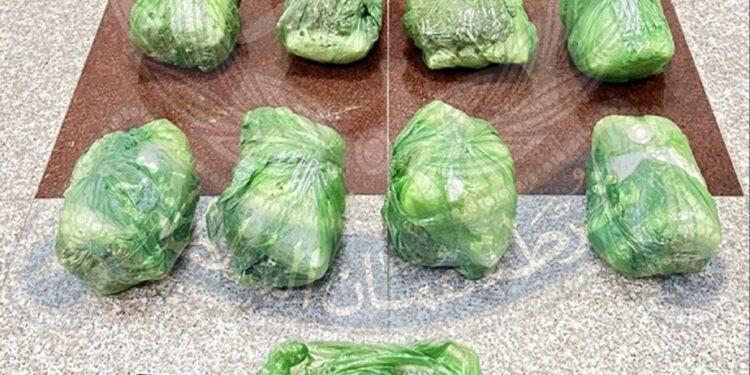 القبض على وافد بحوزته كمية من الماريجوانا بولاية بركاء 1 القبض على وافد بحوزته كمية من الماريجوانا بولاية بركاء