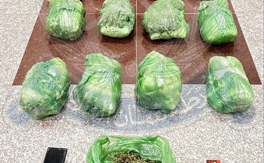 القبض على وافد بحوزته كمية من الماريجوانا بولاية بركاء 1 القبض على وافد بحوزته كمية من الماريجوانا بولاية بركاء