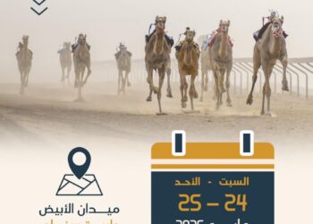 غداً انطلاق مهرجان الابيض السنوي لسباقات الهجن بولاية سناو