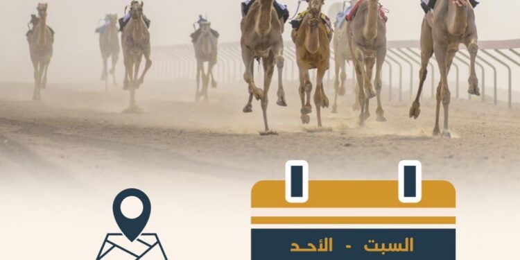 غداً انطلاق مهرجان الابيض السنوي لسباقات الهجن بولاية سناو