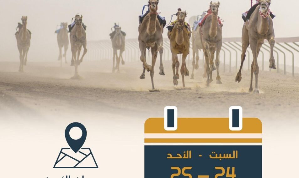 غداً انطلاق مهرجان الابيض السنوي لسباقات الهجن بولاية سناو