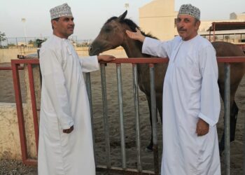 زيارة خاصة لأكاديمية السلام للفروسية