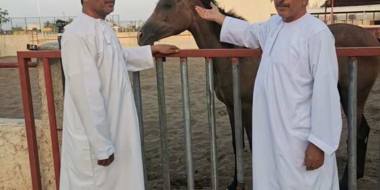 زيارة خاصة لأكاديمية السلام للفروسية 1 زيارة خاصة لأكاديمية السلام للفروسية