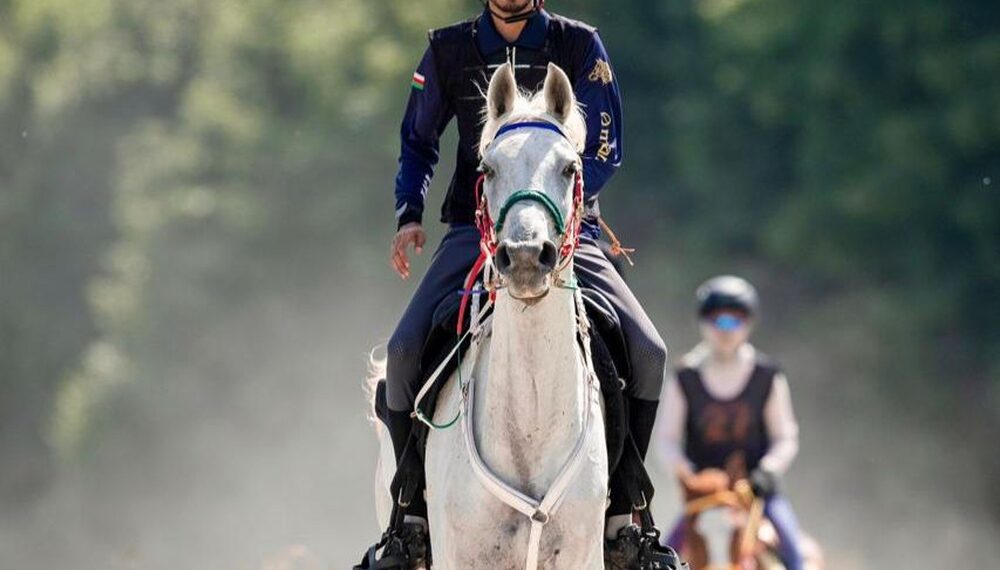 الفارس علي آل سعيد يتأهل للمرة الثانية إلى نهائي كأس العالم للقدرة والتحمل 1 الفارس علي آل سعيد يتأهل للمرة الثانية إلى نهائي كأس العالم للقدرة والتحمل