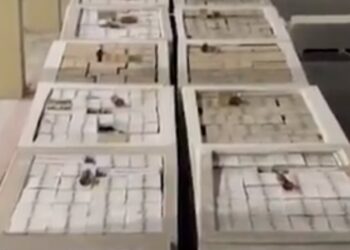 جمارك الوجاجة تضبط محاولة تهريب أكثر من 9200 زجاجة مشروبات كحولية