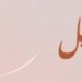 شركة جبل العقارية تعلن وظيفة شاغرة