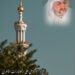 التأثير الإسلامي على الحضارات الأخرى 8 التأثير الإسلامي على الحضارات الأخرى