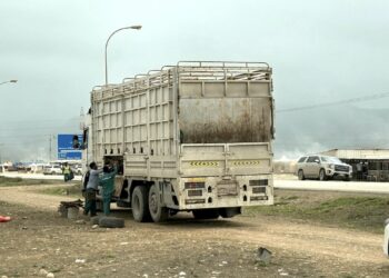 تنفيذ حملة تفتيشية على منافذ بيع الحطب غير المرخص بسهل أرزات