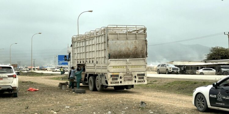 تنفيذ حملة تفتيشية على منافذ بيع الحطب غير المرخص بسهل أرزات 1 تنفيذ حملة تفتيشية على منافذ بيع الحطب غير المرخص بسهل أرزات
