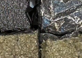 إحباط تهريب 6.5 كغم من الماريجوانا عبر مطار صلالة الدولي