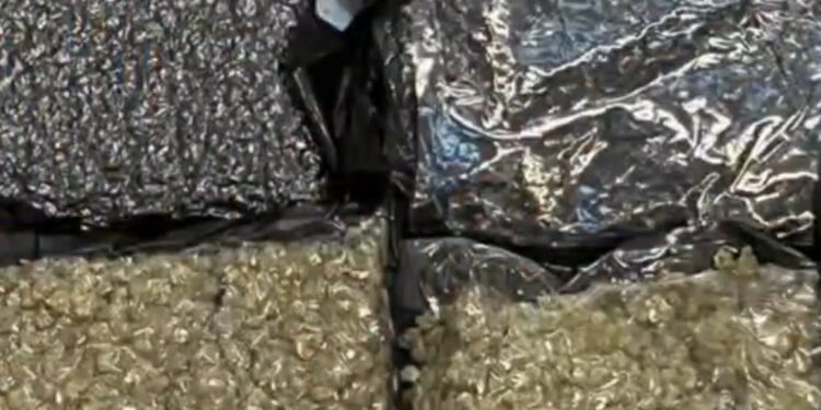 إحباط تهريب 6.5 كغم من الماريجوانا عبر مطار صلالة الدولي 1 إحباط تهريب 6.5 كغم من الماريجوانا عبر مطار صلالة الدولي