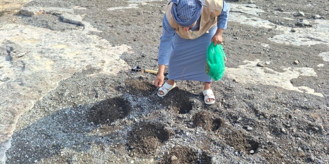 هيئة البيئة بشمال الشرقية تنفذ حملة لتشجير البرك المائية في دماء والطائيين