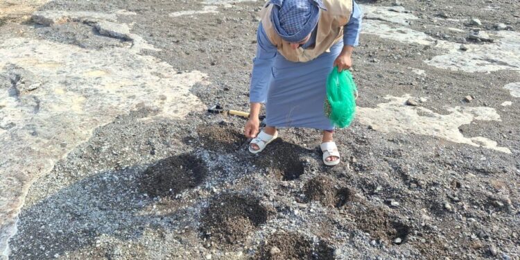 هيئة البيئة بشمال الشرقية تنفذ حملة لتشجير البرك المائية في دماء والطائيين 1 هيئة البيئة بشمال الشرقية تنفذ حملة لتشجير البرك المائية في دماء والطائيين