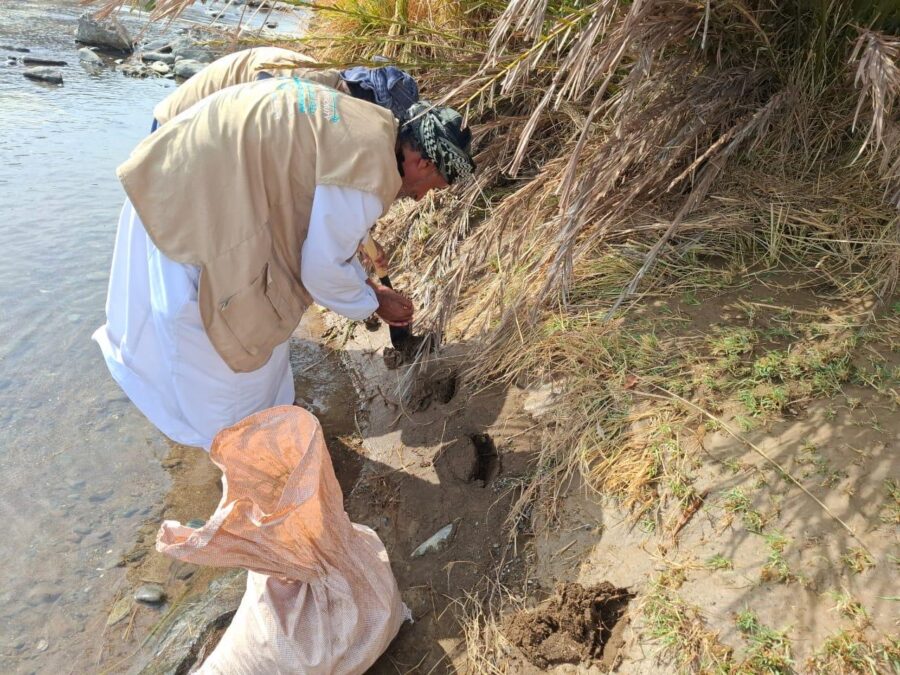 هيئة البيئة بشمال الشرقية تنفذ حملة لتشجير البرك المائية في دماء والطائيين 10 82fb02d8 4c90 4293 bc2d bef7b8f972af