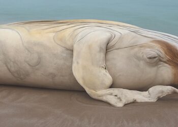 هيئة البيئة تتعامل مع نفوق حوت على شاطئ الأشخرة بجنوب الشرقية