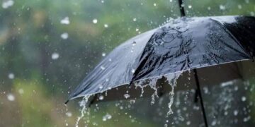 تنبيهات جوية لأمطار ورياح وضباب اليوم