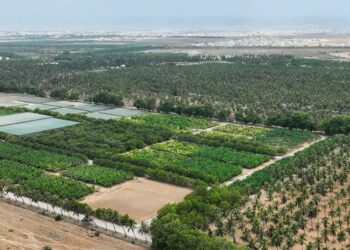 بأمرٍ سامٍ.. بعد غدٍ الاثنين افتتاح المسار السياحي بمزرعة رزات السلطانية