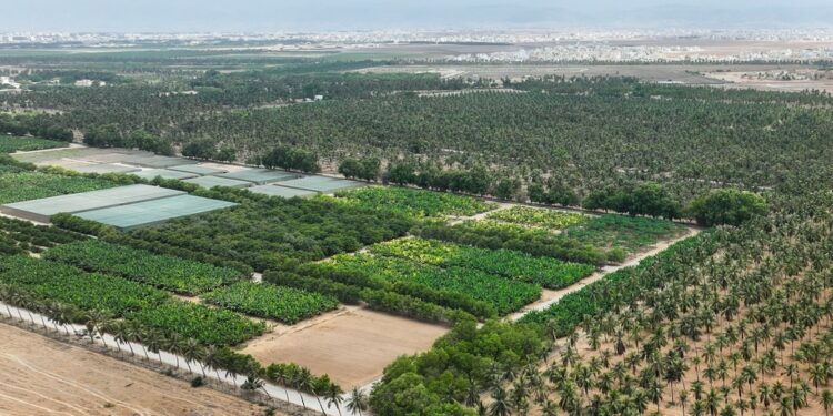 بأمرٍ سامٍ.. بعد غدٍ الاثنين افتتاح المسار السياحي بمزرعة رزات السلطانية 1 بأمرٍ سامٍ.. بعد غدٍ الاثنين افتتاح المسار السياحي بمزرعة رزات السلطانية
