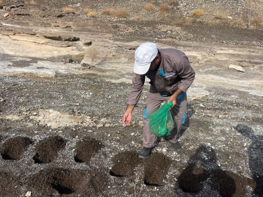 هيئة البيئة بشمال الشرقية تنفذ حملة لتشجير البرك المائية في دماء والطائيين 5 cc3c16af 31b7 421f 91c7 e7fde1233a25