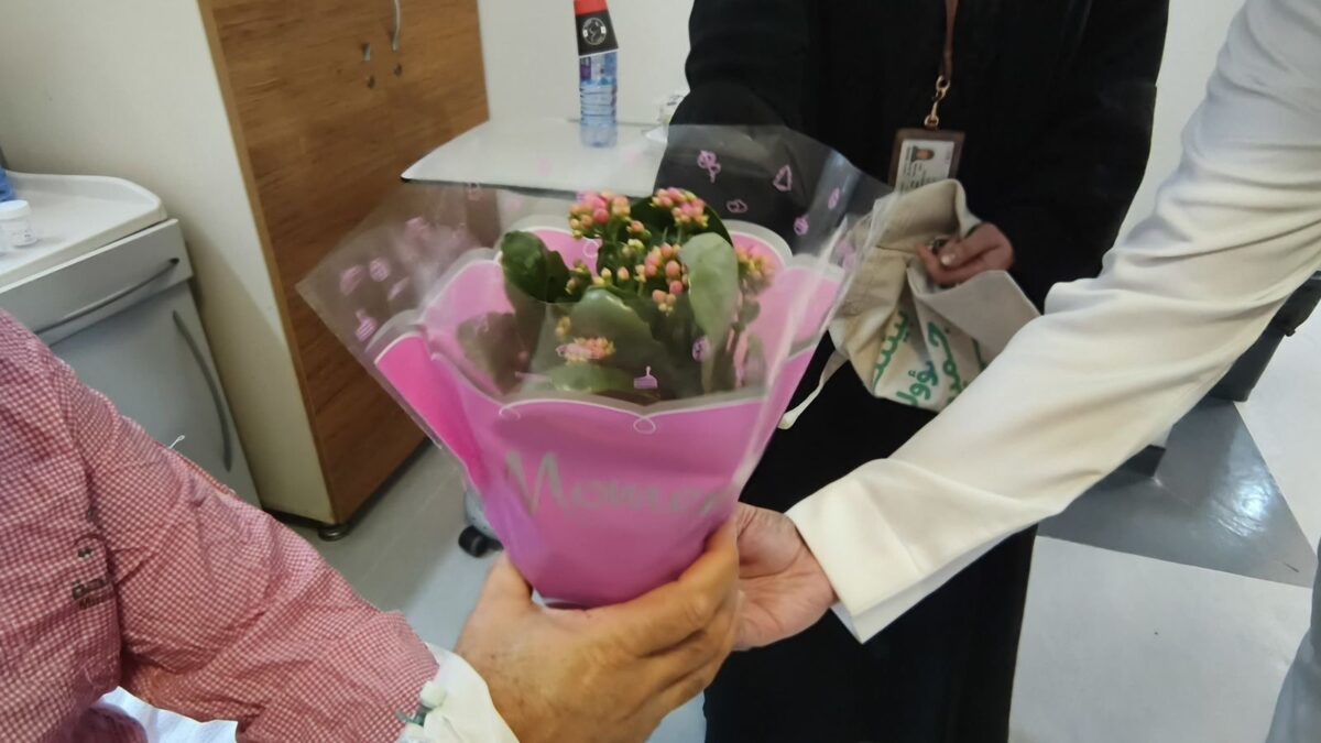 d87338fc 769c 4cbc aa9f bb326595b48f