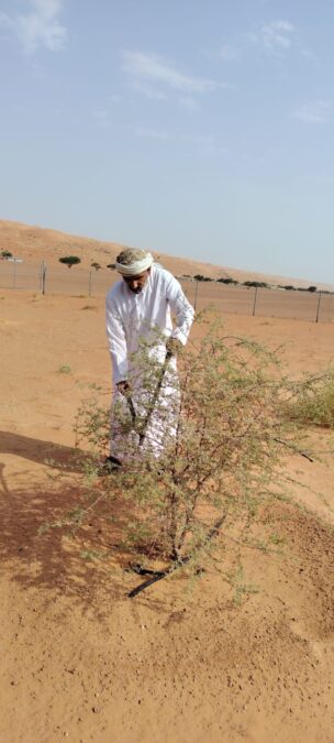 e739b13c d415 4f08 8e5b 25e0d6cd0404