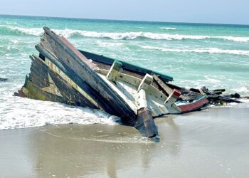 انطلاق المسوحات الميدانية للنظم الإيكولوجية البحرية بولاية مصيرة