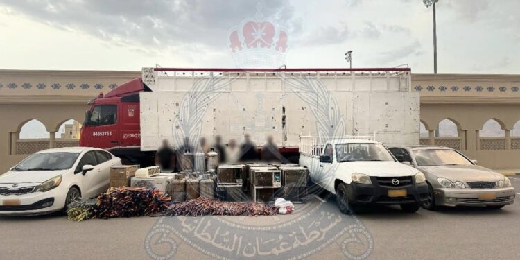 ضبط 9 أشخاص لسرقتهم كابلات وأجهزة كهربائية في الداخلية