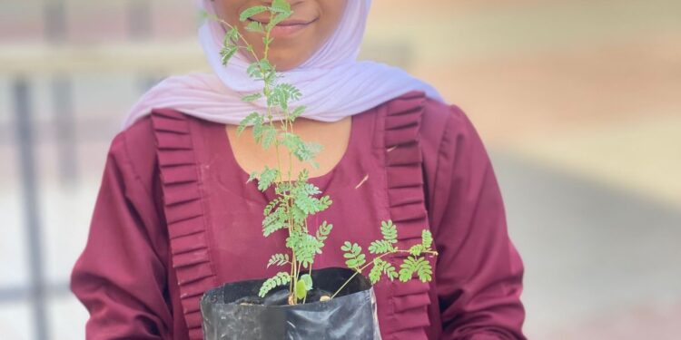 "سوق بلا بلاستيك" وزراعة 10 ملايين شجرة في يوم بيئي بمدرسة إبراء 1 “سوق بلا بلاستيك” وزراعة 10 ملايين شجرة في يوم بيئي بمدرسة إبراء