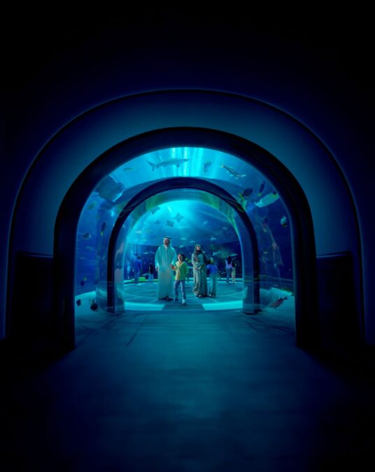 ccce5d15 37f9 432a 83c4 76e9f241c82a