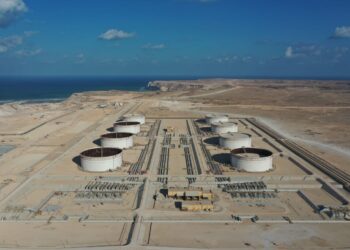 أوكيو تمكّن مسيرة نموّ الدقم