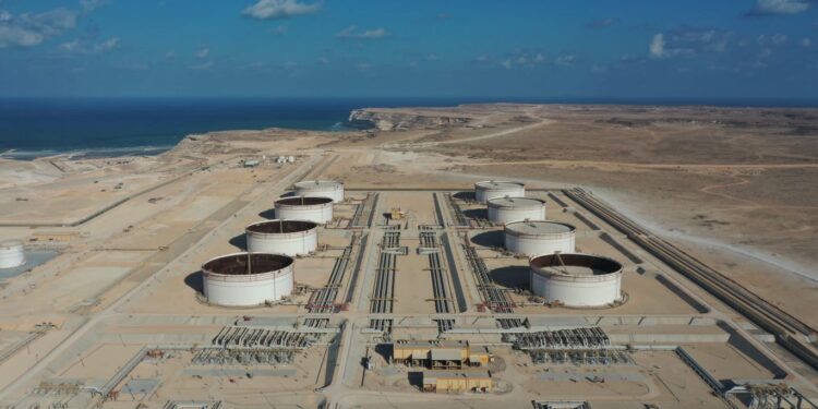 أوكيو تمكّن مسيرة نموّ الدقم