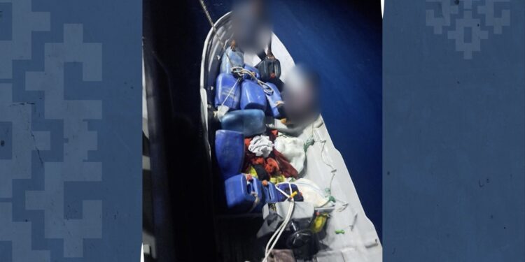 القبض على آسيويين حاولا دخول البلاد بطريقة غير شرعية 1 القبض على آسيويين حاولا دخول البلاد بطريقة غير شرعية