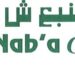 مجموعة النبع تعلن وظيفة شاغرة 8 مجموعة النبع تعلن وظيفة شاغرة