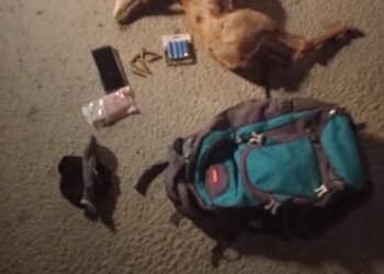 القبض على متهم بحيازة غزال عربي في جنوب الشرقية