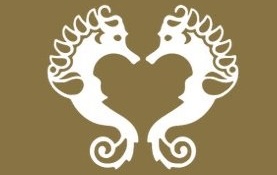 شركة ديما عمان تعلن وظيفة شاغرة