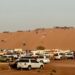 ولاية بدية تشهد اقبالًا منقطع النظير خلال هذه الأيام 8 ولاية بدية تشهد اقبالًا منقطع النظير خلال هذه الأيام