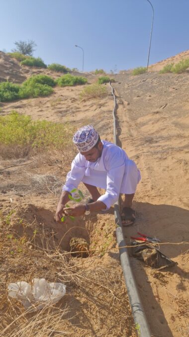 حملة بيئية مشتركة لتشجير وصيانة مشتل بدية في شمال الشرقية 4 6f09a468 11e1 46bd ab74 e2b64df7d0a8