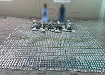 القبض على آسيويين لقيامهما بتهريب مخدرات بقصد الاتجار بها في صحار