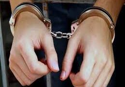 ضبط 22 امرأة آسيوية لمخالفتهن قانوني العمل والإقامة