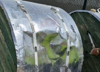 القبض على 3 آسيويين بتهمة سرقة كابلات كهربائية في محوت