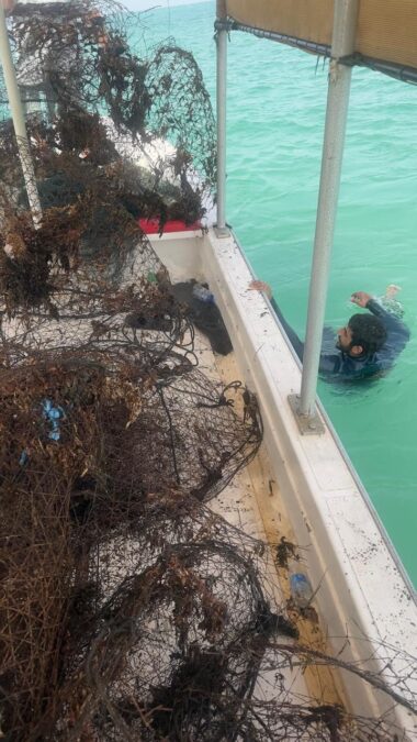 fb3f98b9 873b 4a09 87eb 9942302ce38e