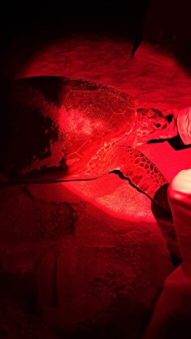 0c8e9d23 dc70 4669 9974 3b96a24280c3