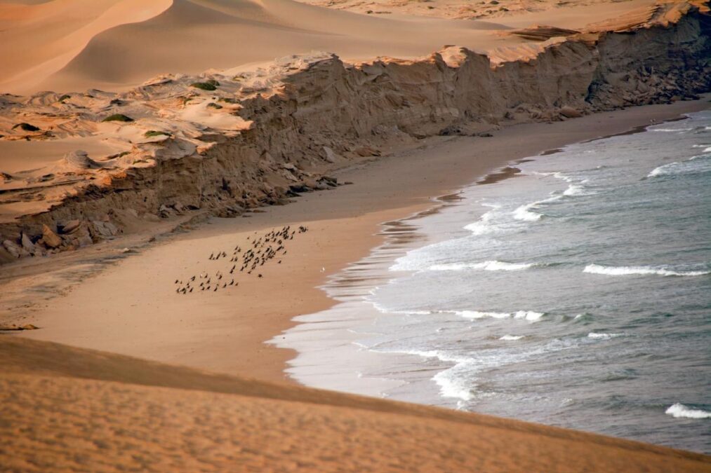 1ceb8d23 7ef3 49c2 af9f ac6d98eb5a6c