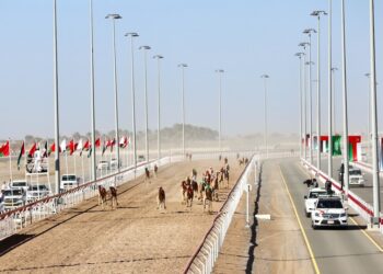 2 فبراير انطلاقُ منافسات مهرجان البشائر التّاسع للهجن