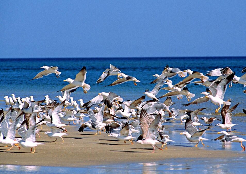 bf164704 755e 4e93 8a61 9c5d50479b02