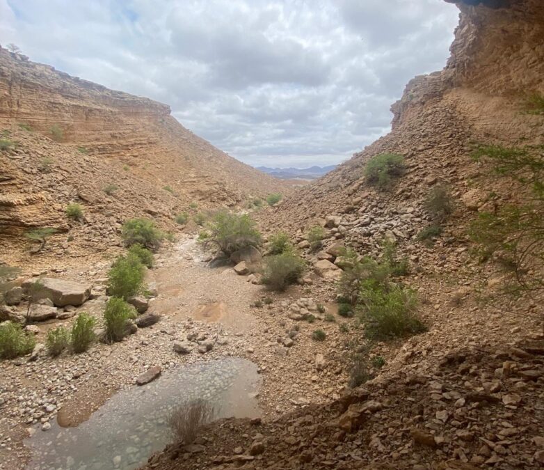 9eed4bf5 bee9 4eff 9819 9bb4c826ccba